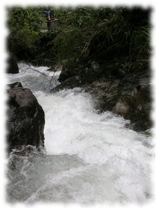 Papallacta's Nature Trail